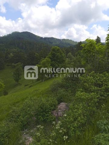 Grundstück zu verkaufen 11937 m² – Jelenje