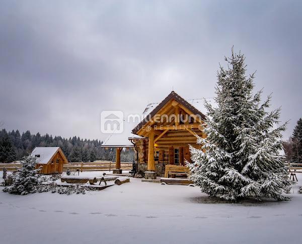 House For sale - PRIMORSKO-GORANSKA RAVNA GORA