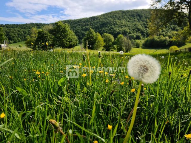 Land For sale - Primorsko-goranska Mrkopalj - foto 3/3