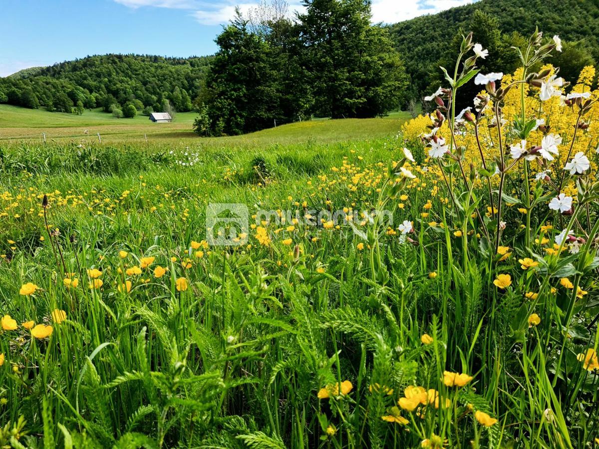 Land For sale - PRIMORSKO-GORANSKA MRKOPALJ