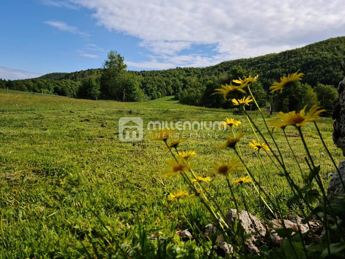 Land For sale - PRIMORSKO-GORANSKA MRKOPALJ