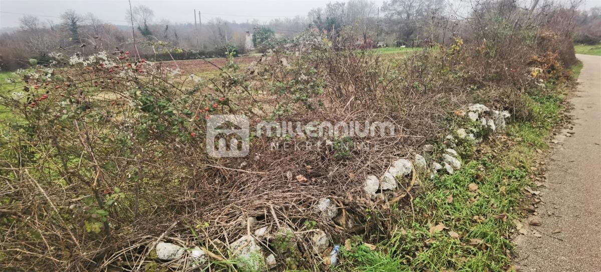 Parcela Na predaj - ISTARSKA MARČANA