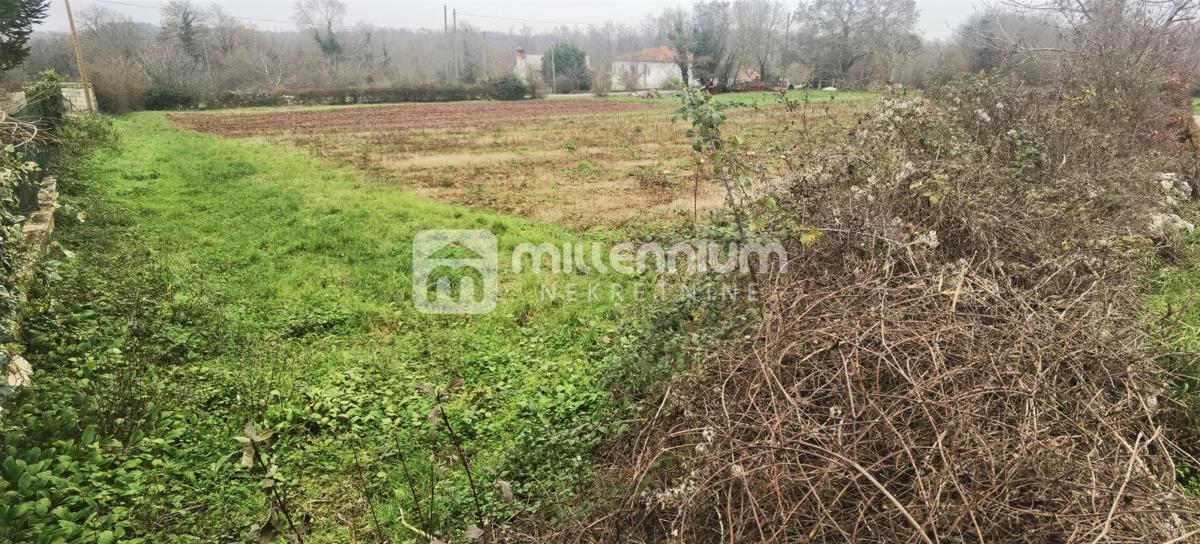 Parcela Na predaj - ISTARSKA MARČANA