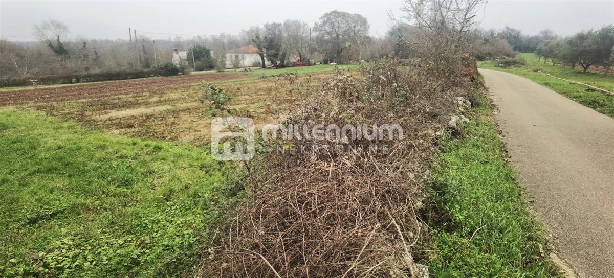 Parcela Na predaj - ISTARSKA MARČANA