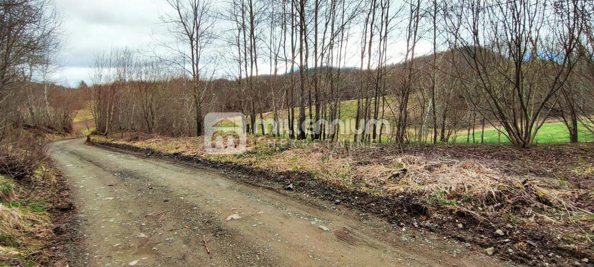 Parcela Naprodaj - PRIMORSKO-GORANSKA Lokve