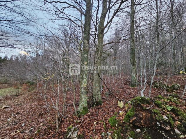 Terreno In vendita - Primorsko-goranska Fužine - foto 2/3