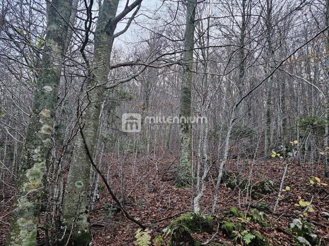 Terreno In vendita - Primorsko-goranska Fužine - foto 3/3