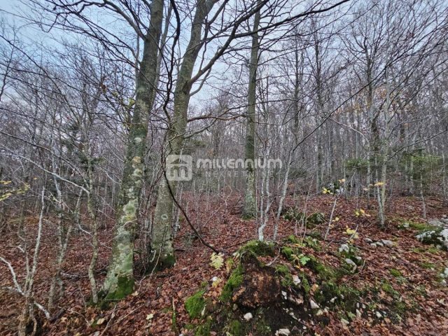 Parcela Naprodaj - Primorsko-goranska Fužine - foto 4/4