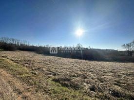 Terrain à vendre 3000 m² – Novaki Motovunski