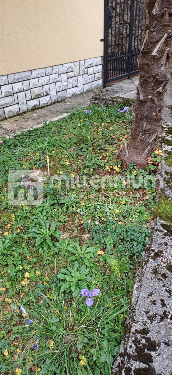 Appartement À vendre - PRIMORSKO-GORANSKA Opatija