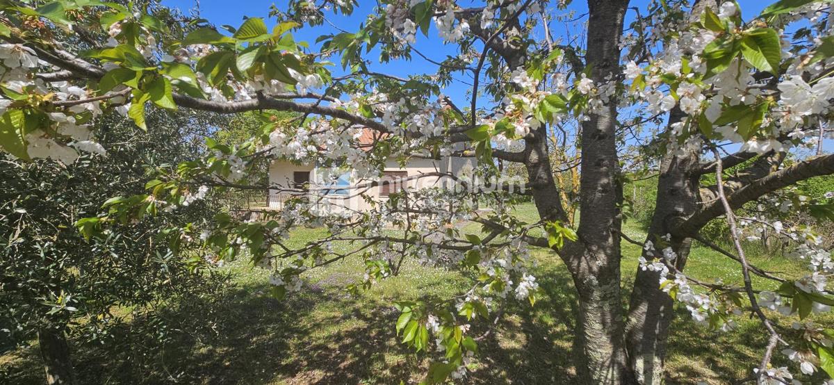 Casa In vendita - ISTARSKA POREČ