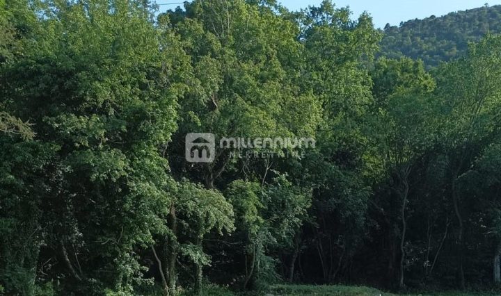 Terreno in vendita 2930 m² – Bribir