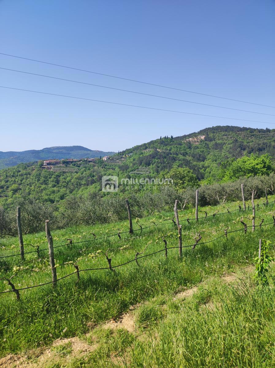 House For sale - ISTARSKA MOTOVUN