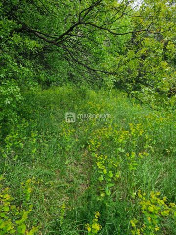Pozemok na predaj 770 m² – Draga