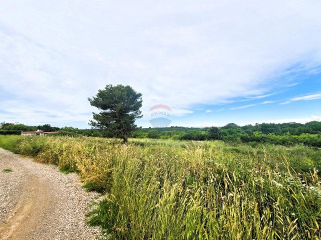 Terrain à vendre 1150 m² – Vintijan
