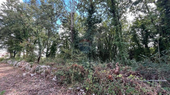 Parcela Naprodaj - Istarska Tinjan - foto 4/4