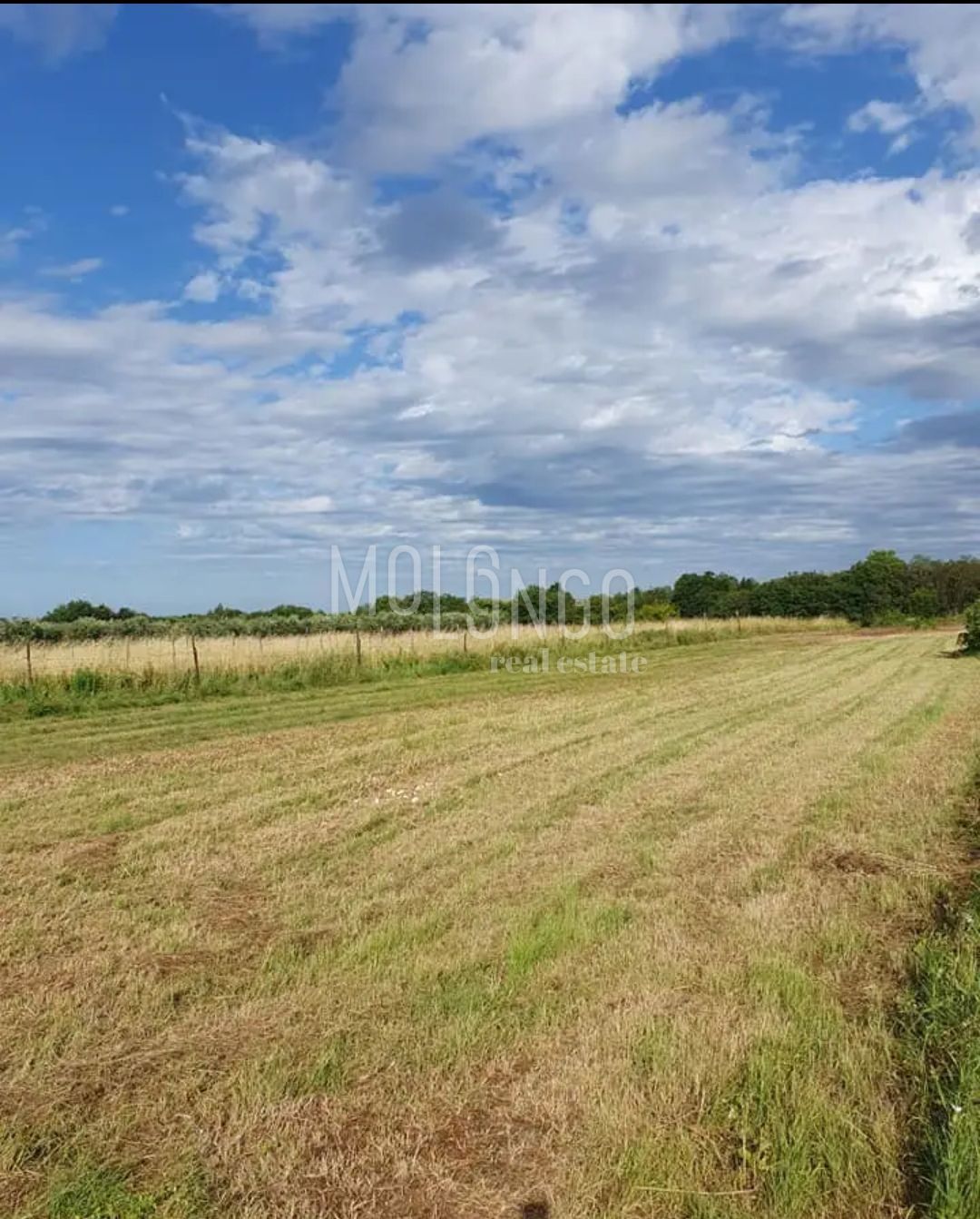 Land For sale - ISTARSKA MARČANA