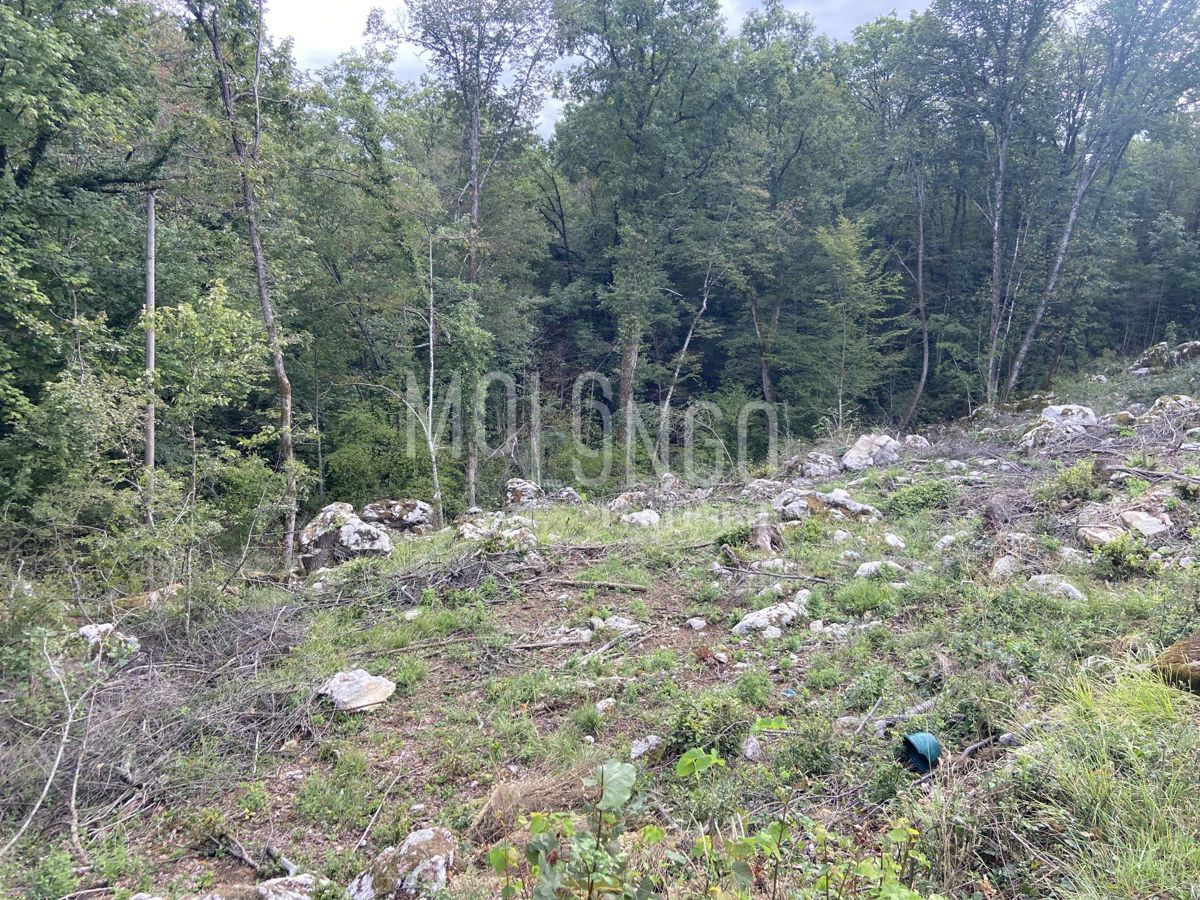 Land For sale - PRIMORSKO-GORANSKA MATULJI