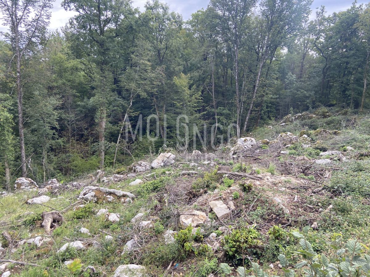 Land For sale - PRIMORSKO-GORANSKA MATULJI