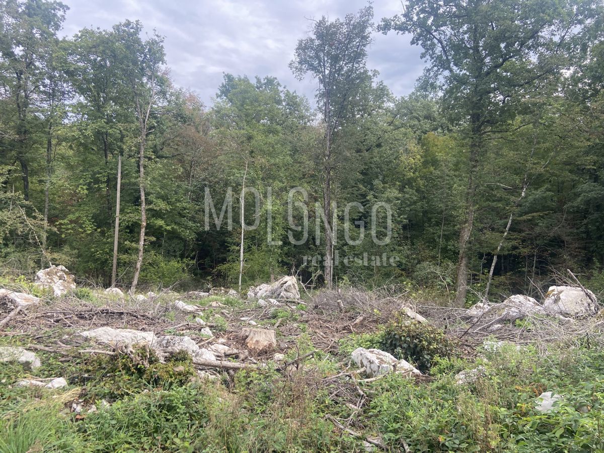 Land For sale - PRIMORSKO-GORANSKA MATULJI