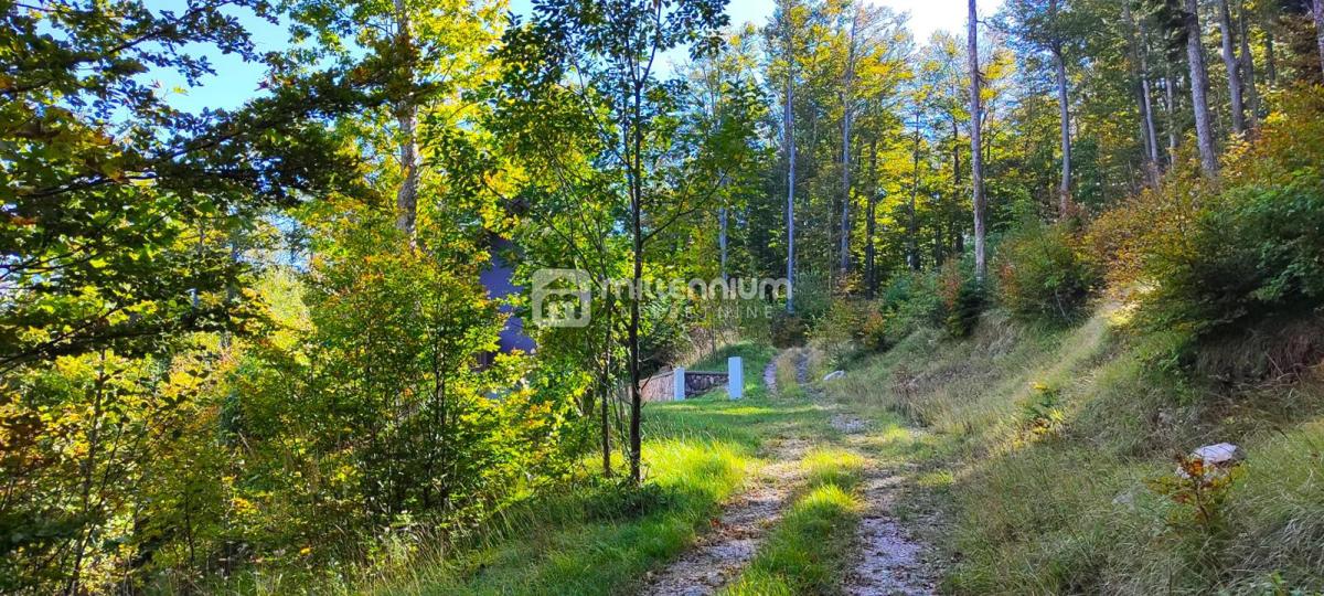 Haus Zu verkaufen - PRIMORSKO-GORANSKA BAKAR