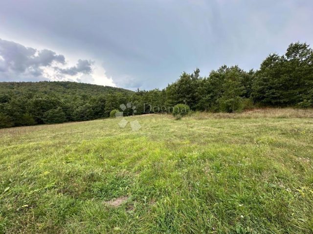 Terrain à vendre 28000 m² – Lovinac