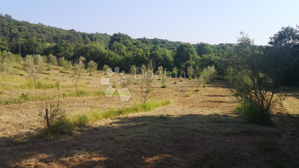 Haus Zu verkaufen - Istarska Labin - foto 4/12