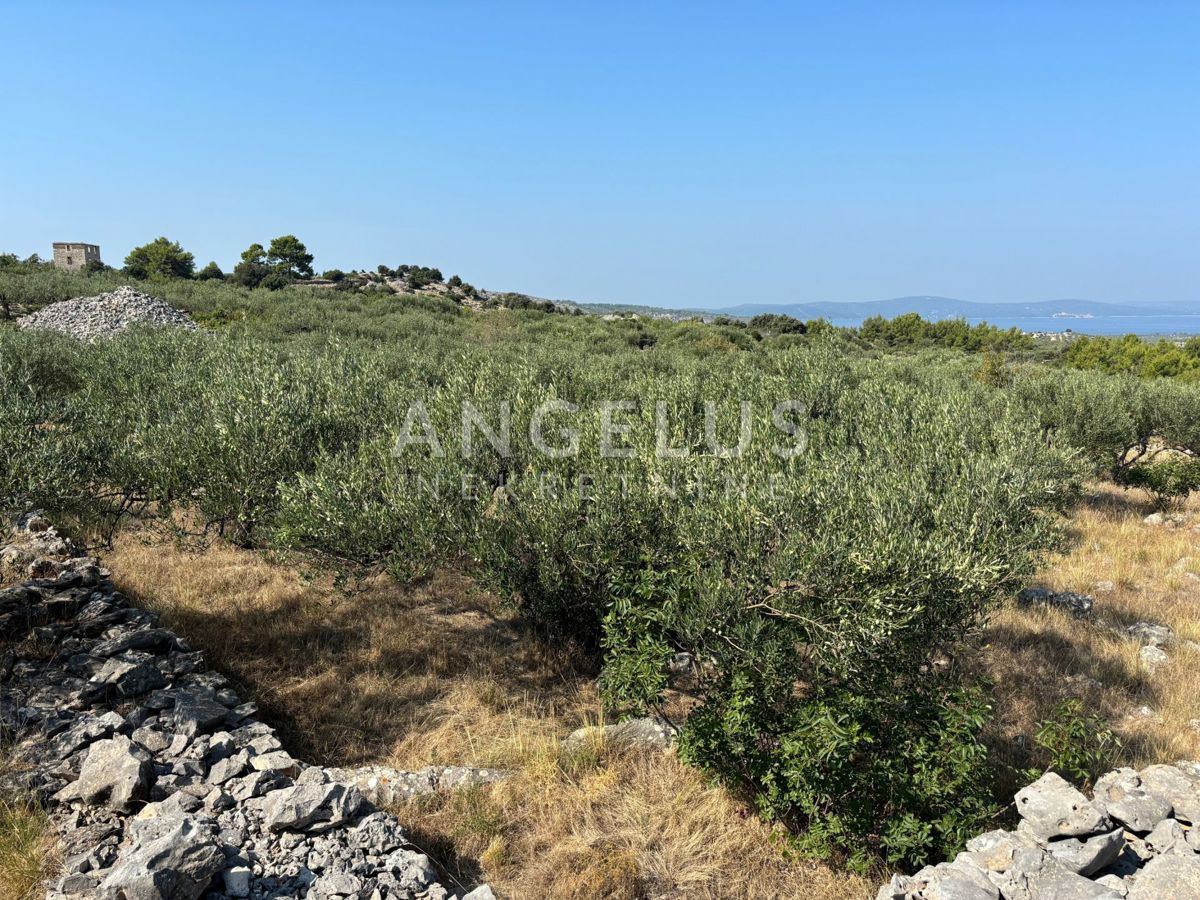 Land For sale - SPLITSKO-DALMATINSKA BRAČ