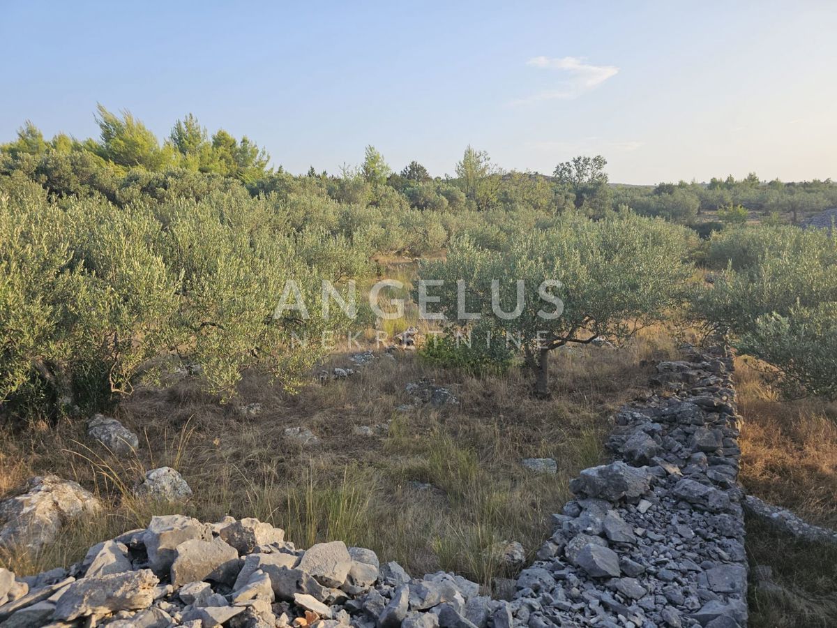 Land For sale - SPLITSKO-DALMATINSKA BRAČ