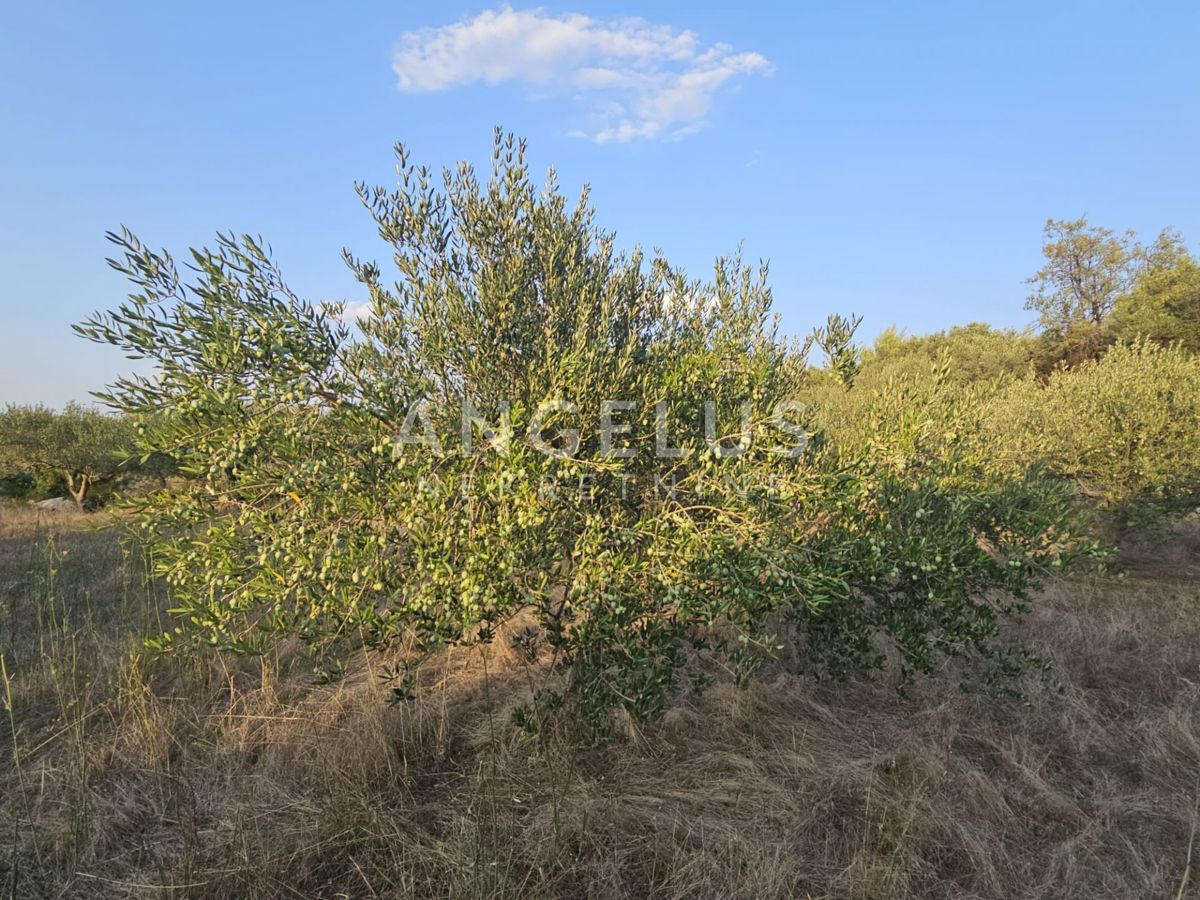 Land For sale - SPLITSKO-DALMATINSKA BRAČ