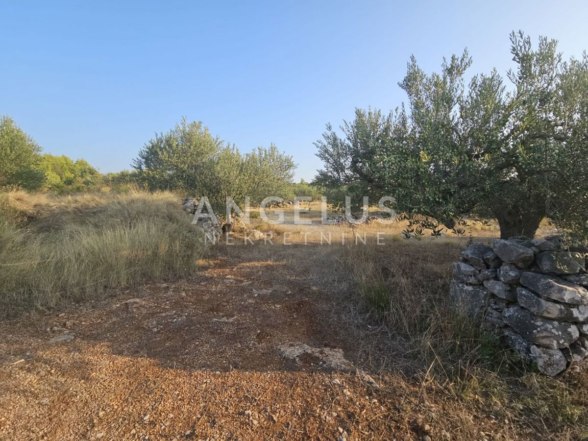 Land For sale - SPLITSKO-DALMATINSKA BRAČ