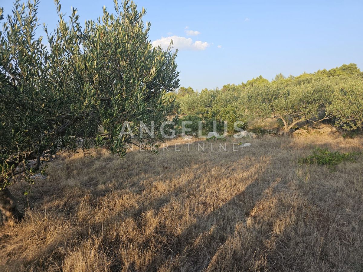 Land For sale - SPLITSKO-DALMATINSKA BRAČ