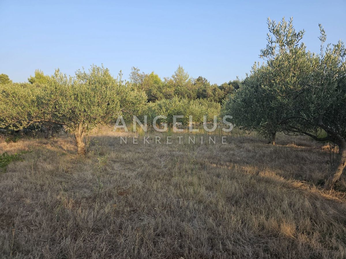 Land For sale - SPLITSKO-DALMATINSKA BRAČ