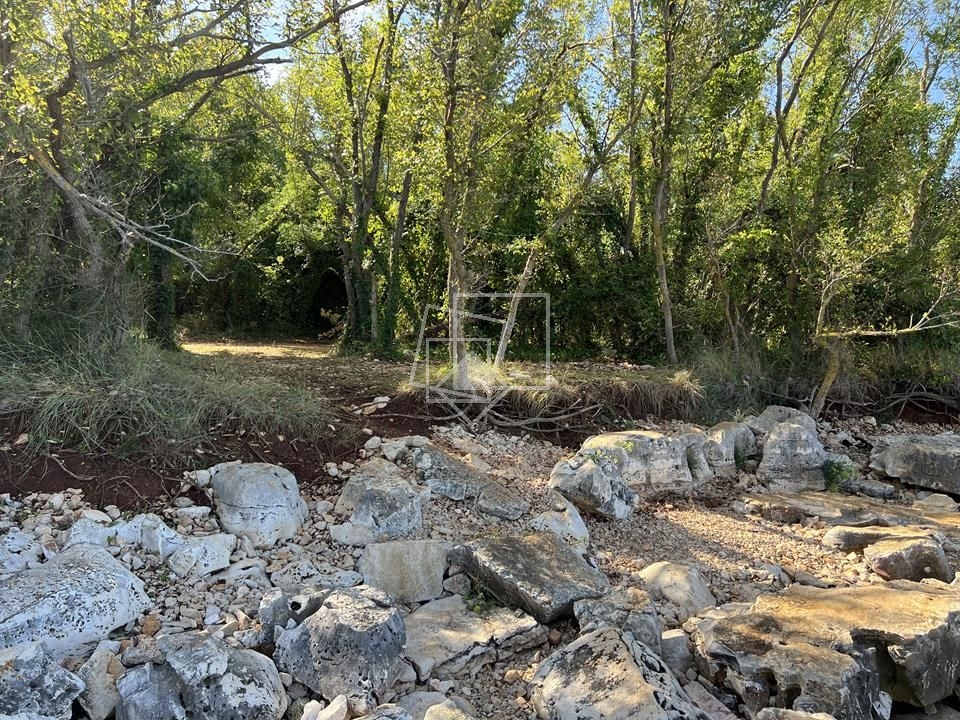 Parcela Naprodaj - ISTARSKA Umag