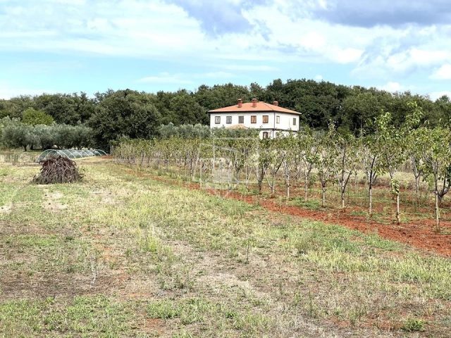 Casa In vendita - Istarska Umag - foto 2/39
