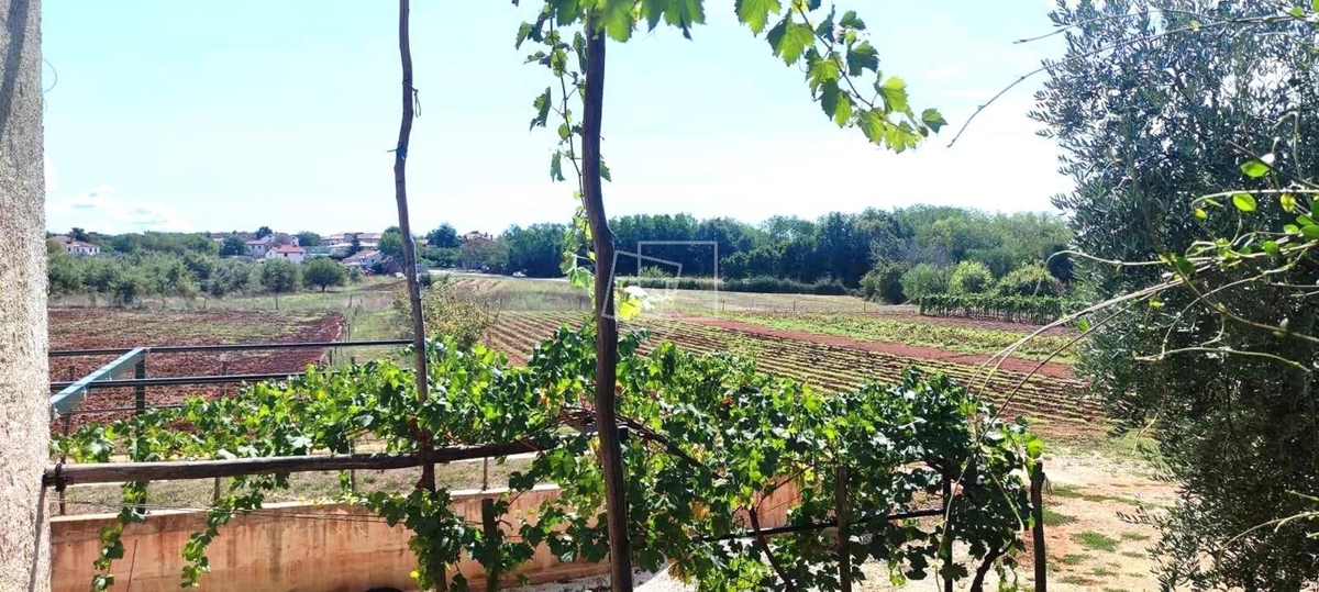 House For sale - ISTARSKA UMAG