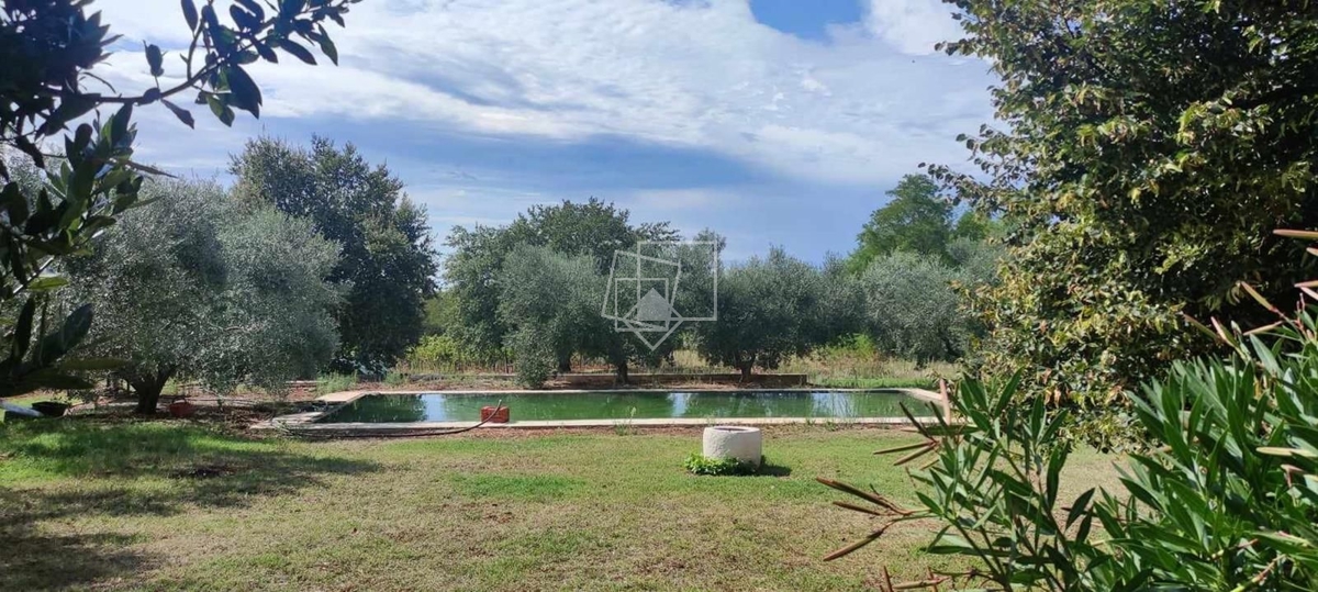 House For sale - ISTARSKA UMAG