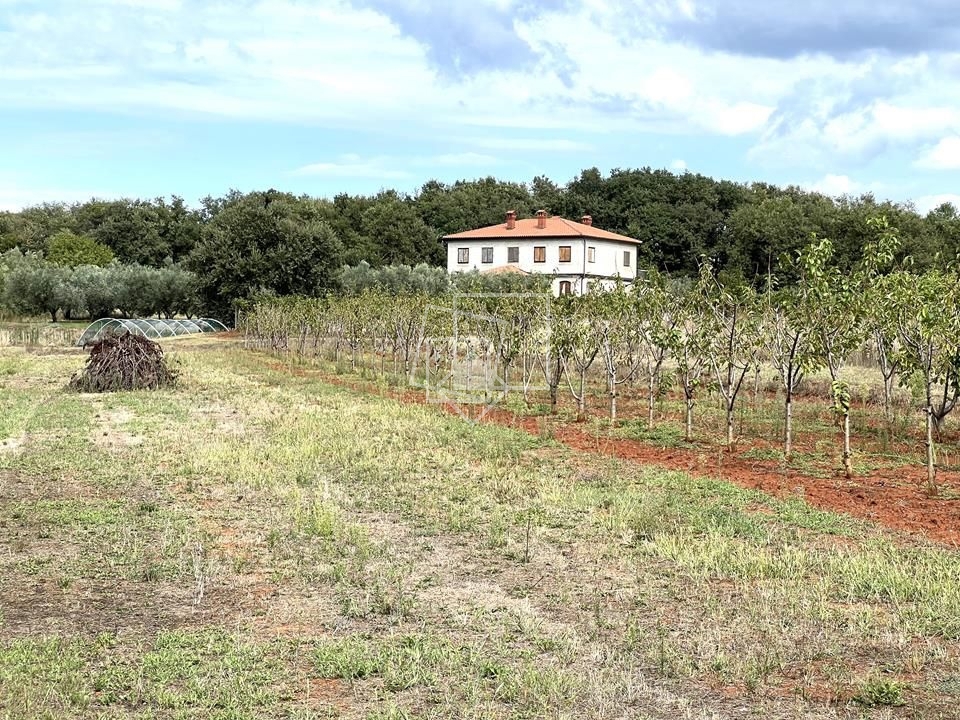 House For sale - Istarska Umag - foto 2/39