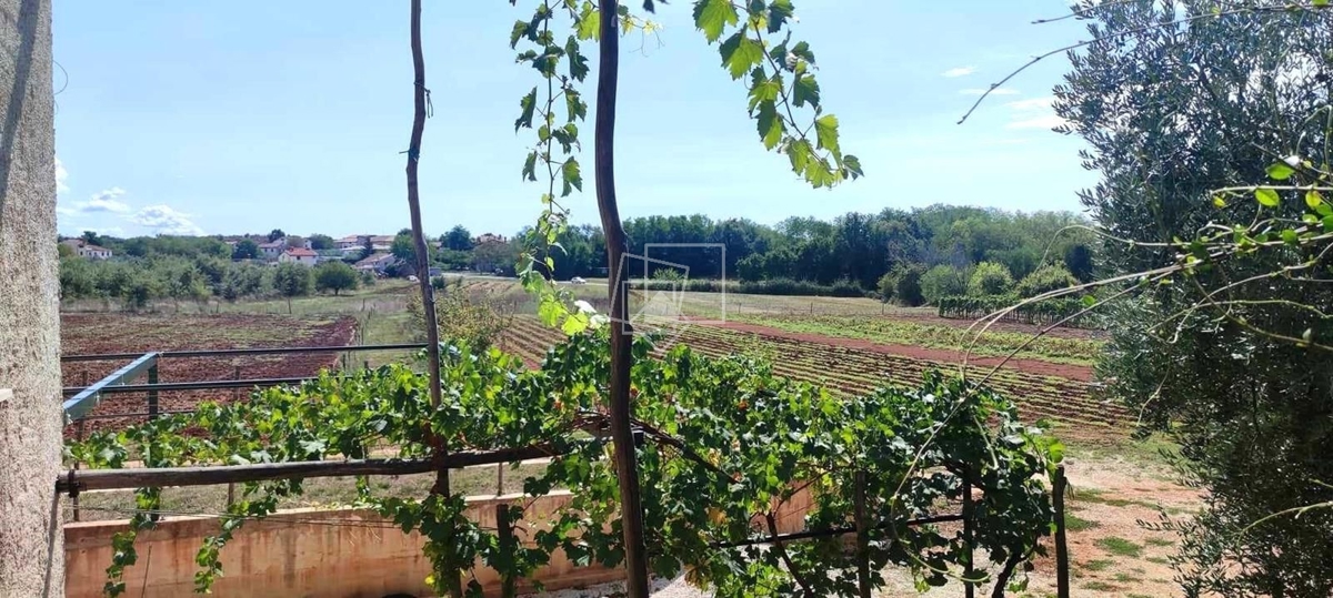 House For sale - ISTARSKA UMAG