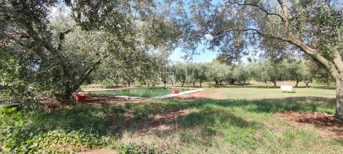House For sale - ISTARSKA UMAG