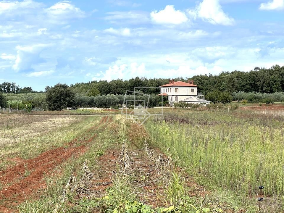 House For sale - ISTARSKA UMAG