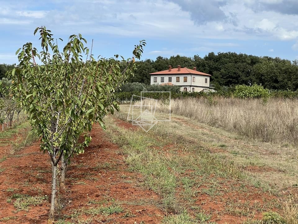 House For sale - ISTARSKA UMAG