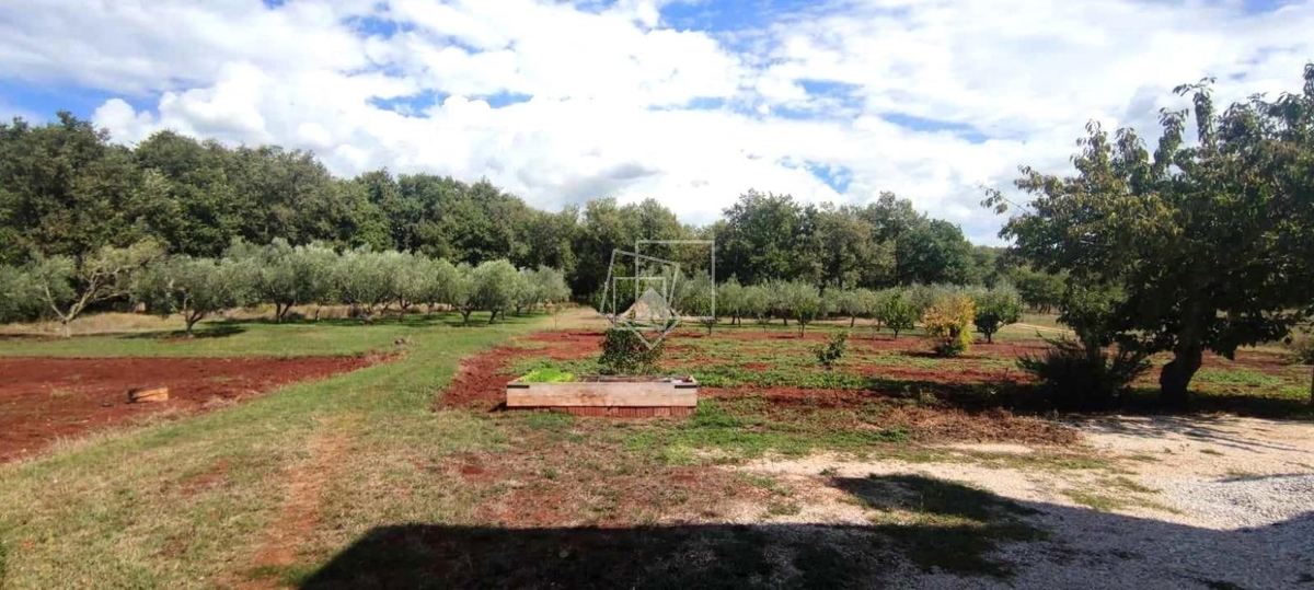 House For sale - ISTARSKA UMAG