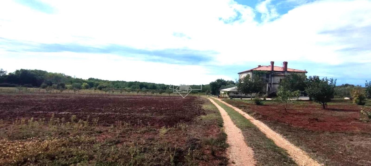 House For sale - ISTARSKA UMAG