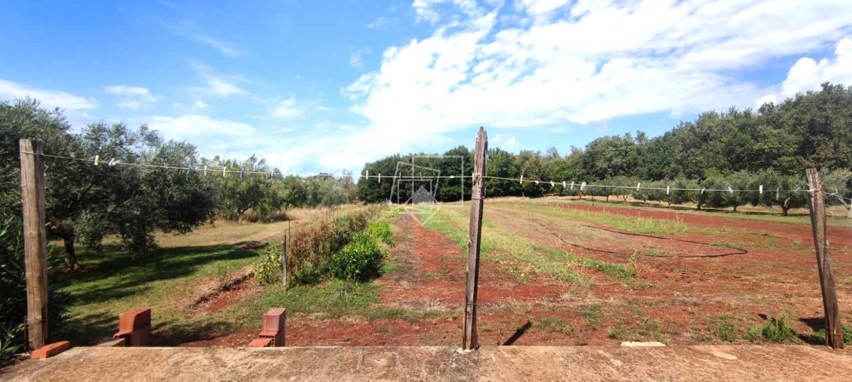House For sale - ISTARSKA UMAG