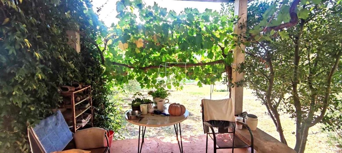 House For sale - ISTARSKA UMAG