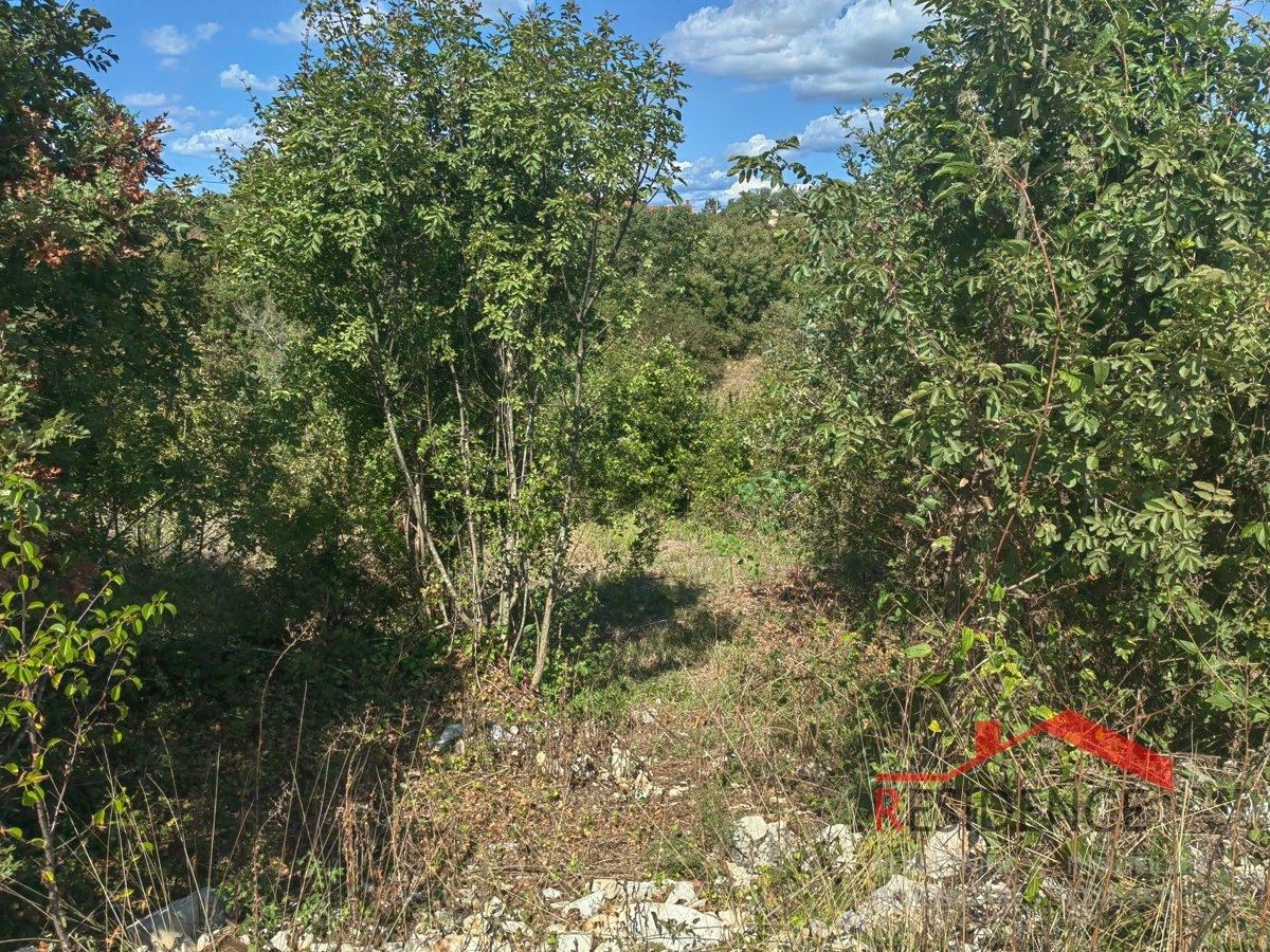 Pozemok Na predaj - ISTARSKA BARBAN