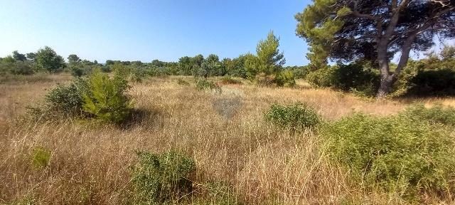 Land For sale - Istarska Vodnjan - foto 4/7