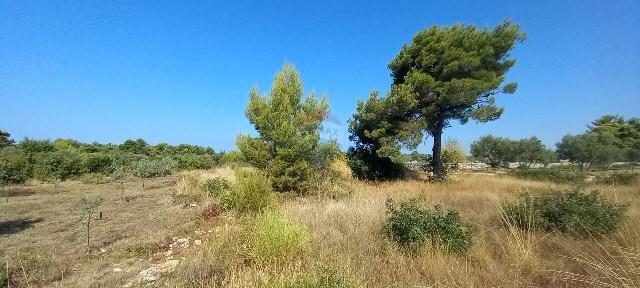Land For sale - Istarska Vodnjan - foto 5/7