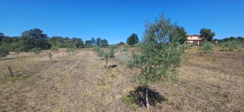 Działka Na sprzedaż - ISTARSKA SVETVINČENAT